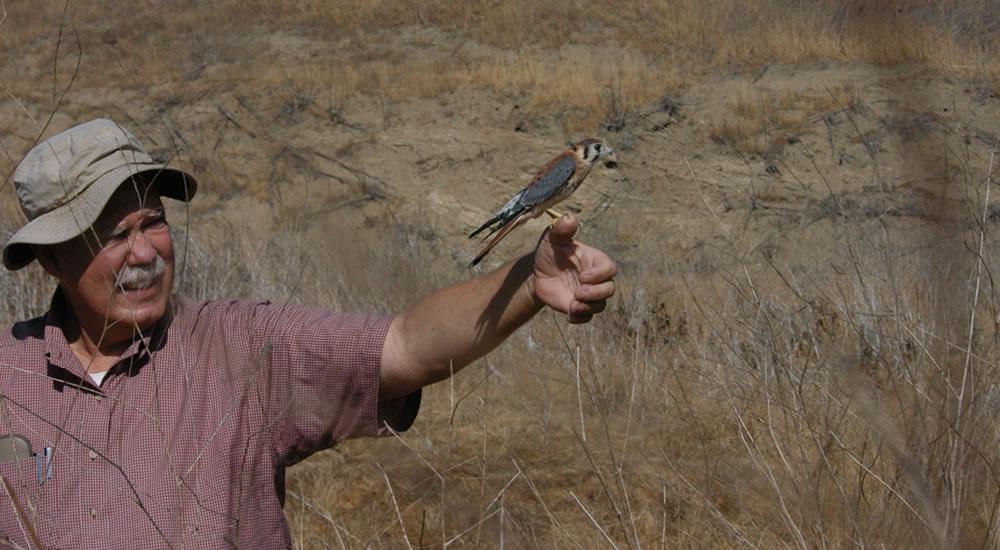 Dan Guthrie，生物学教授，在这个领域.